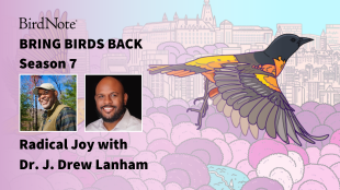 The Bring Birds Back logo featuring guest, Dr. J. Drew Lanham and interviewer, Billy Almon.