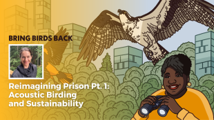 A graphic with the Bring Birds Back artwork on the right side and a photo of Lauren Kuehne