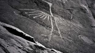 Petroglyph of a heron