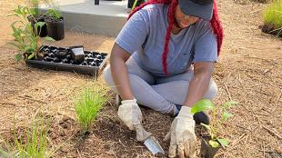 Volunteer planting flowers and grasses at the Atlanta Beltline