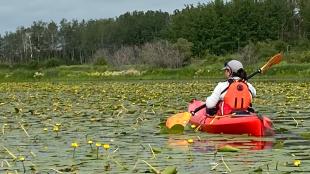 Wildlife biologist Janet Ng in a red kayak, paddling across a water body showing dense coverage of water lilies.