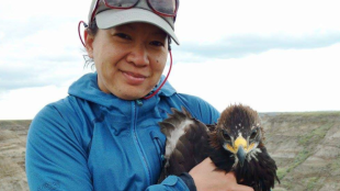 Janet Ng, wearing gray baseball cap and blue jacket, holds an immature Golden Eagle in her arms