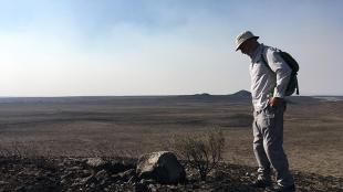 Michael Schroeder looking at sagebrush devastated by wildfire