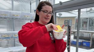 A woman in a red shirt stands inside a glassed in greenhouse, and is handling a clear plastic container of caterpillars.