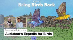Bring Birds Back Season 9 Episode 2