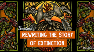 The episode illustrative graphic for Threatened: Rewriting the Story of Extinction