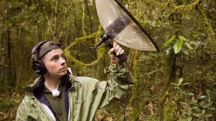 Ben Mirin collecting sounds of nature