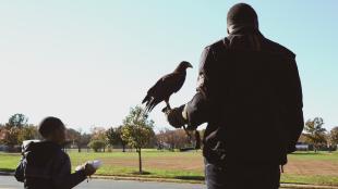 Mike Jackson and son with falcon