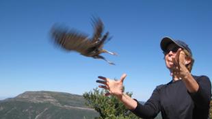 Bird Note founder Chris Peterson releases a bird