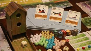 Wingspan board game