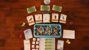 Wingspan board game