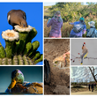 20th Anniversary Photo Contest Winners