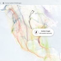 The homepage of Audubon's Bird Migration Explorer
