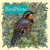 The BirdNote logo, an illustration by Emily Poole