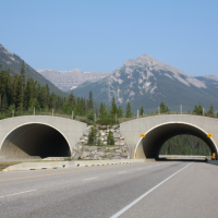 An overpass in Banff National Park consisting of two arches over a road, with mountains in the distance.