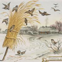 Illustration of bundle of grain, the julenek, put outside to feed birds on Christmas morning