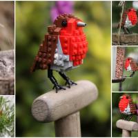 Composite of several photos of small bird with brown back and red breast, each created from LEGO bricks.