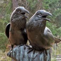 Tony Angell's bronze Common Ravens