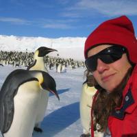 Jessica Meir with penguins