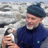 Stephen Kress with Puffin at Egg Rock