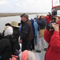 Whooping Crane Festival