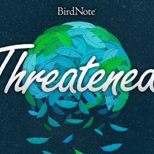 "Threatened" in front of a crumbling globe made of feathers