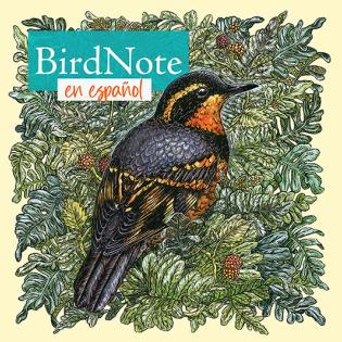 BirdNote Daily en Español