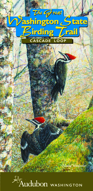 Washington Birding Trail map cover art